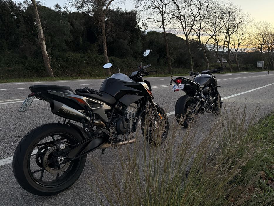 KTM Duke 790/2019