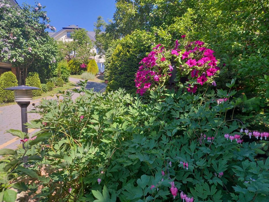 Kaszuby domek nad jeziorem,weekend,Święta,sylwester,wakacje,jacuzzi