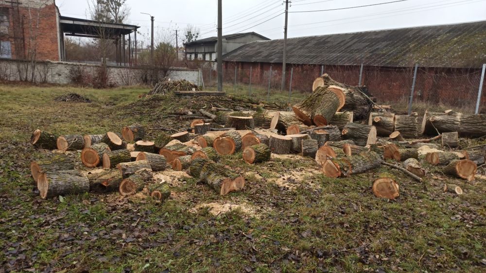 Зрізання дерев, рубання дров, косіння трави і чагарн. , очистка ділян.