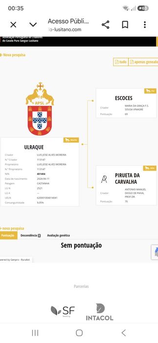 Poldro psl 2 anos