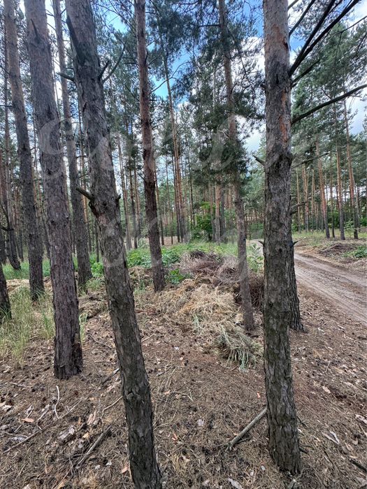 Продам НАЙКРАЩІ ділянки в МАЛЬОВНИЧОМУ місці, 27соток ,с.Проців, ЛІС