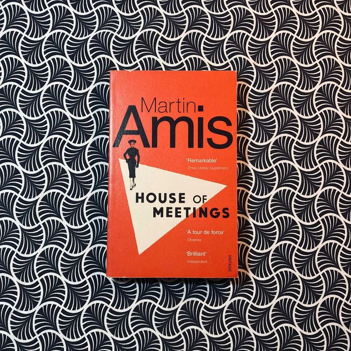 House of Meetings - Martin Amis