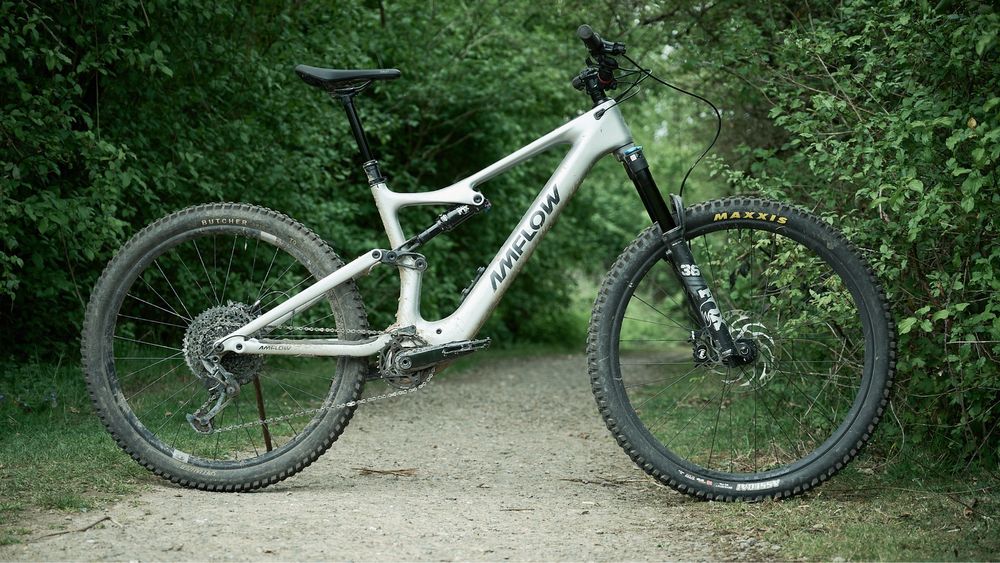 Rower elektryczny Amflow PL Carbon