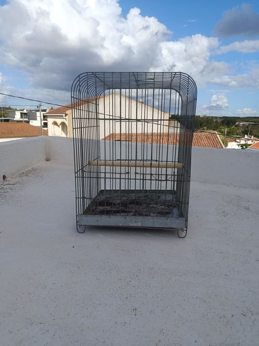 Gaiolas Exposição Psitacídeos Medio e Grande Porte