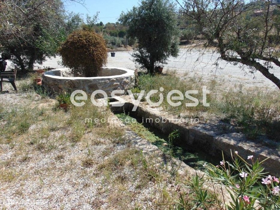 Quinta com Restaurante, Alojamento, Praia Fluvial e Produção de azeite