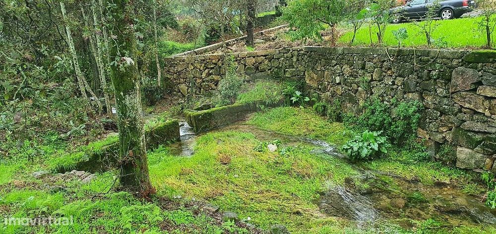 Terreno  para venda