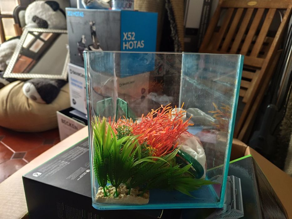 Aquário pequeno como novo