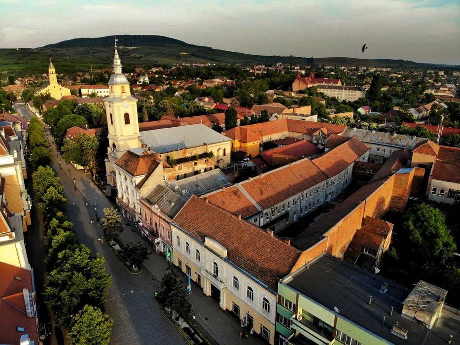 5 Га в Берегові | Рекреаційна земля | Приватизована