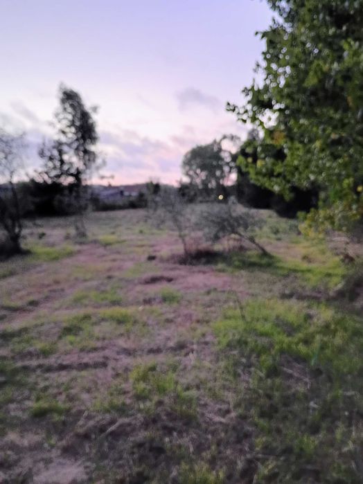 Grande Terreno 2745 M2 - Monte Arcado, Covoes