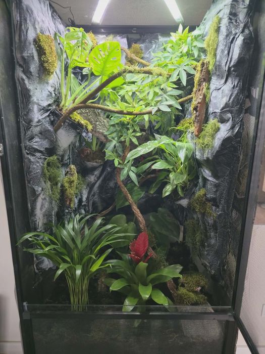 Terrarium 120x60x60