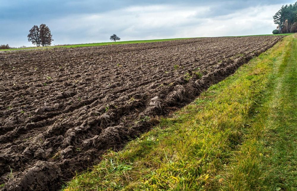 Działka rolna ,ziemia pole orne 6.30ha klasa III / IV