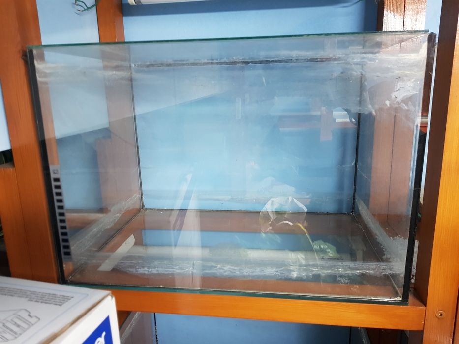 Akwarium 50/35/35