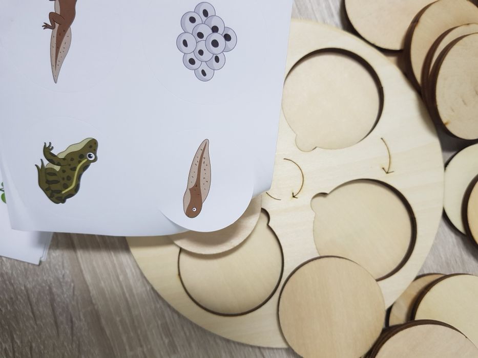 Ciclos da vida - jogo