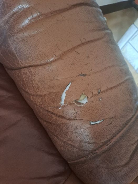 Komplet Mebli Skórzanych