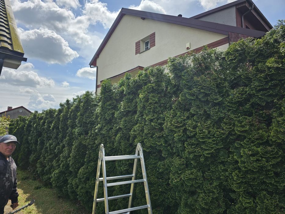 Pielegnacja I czyszczenie ogrodow I dzialek