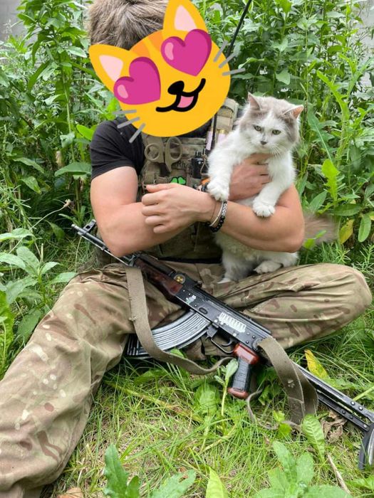 Кошеня дівчинка 4,5 місяці привезена з зони бойвих дій!