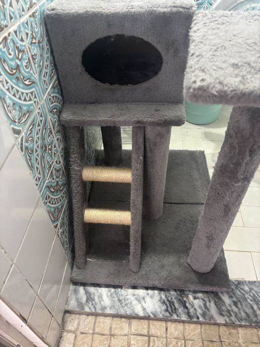 Arranhador de gatod