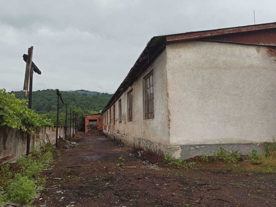 Продаж  консервного  заводу/Великий Бичків