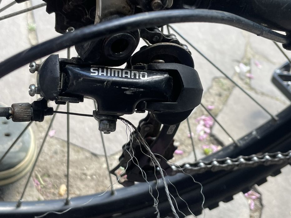 Formula Blackwood AM DD 26" 2022