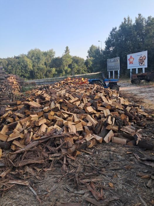 Todos os tipos de lenhas