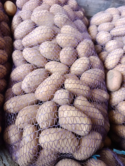 Картофель с доставкой