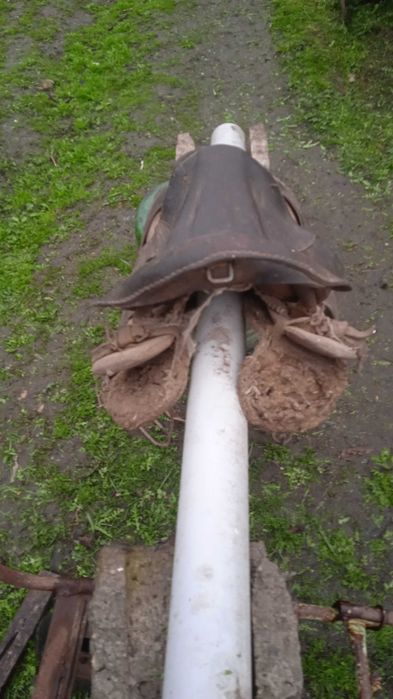 Кінне сідло кавалерійське