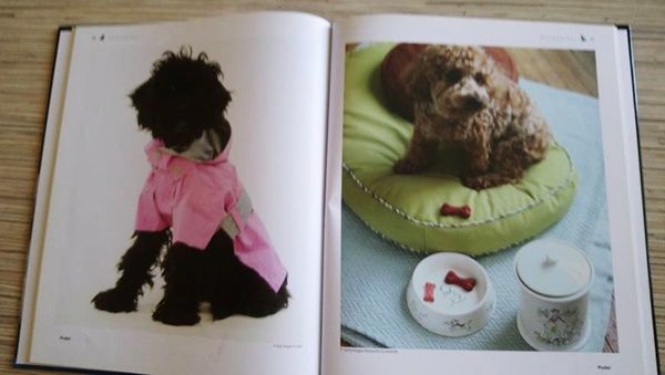 Album Psy, Szczeniaki Praca zbiorowa