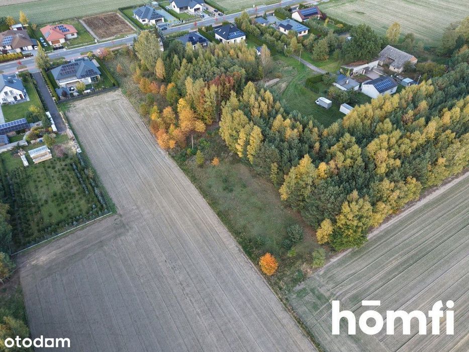 Działka 3204 m² | Kleszczów | Łękińsko