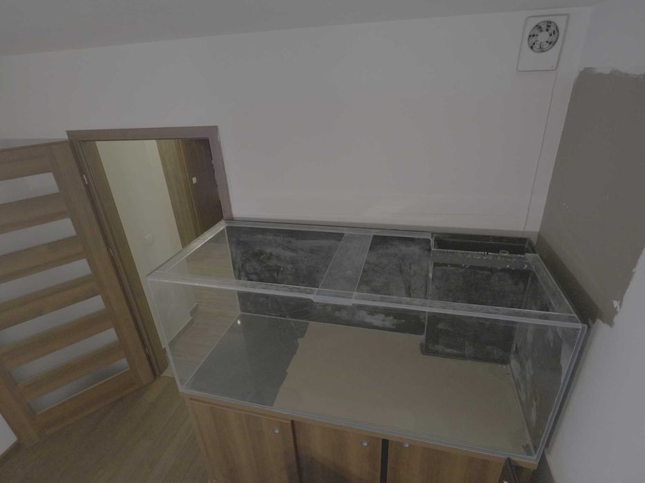 akwarium morskie Wrocław