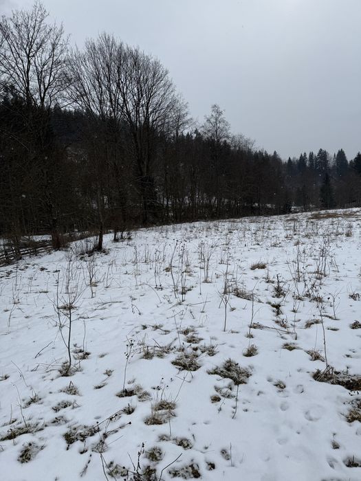 Кривопілля гори Карпати, Верховинщина