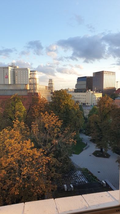 Mieszkanie – Poznań, Święty Marcin, Stare Miasto - Widok 3