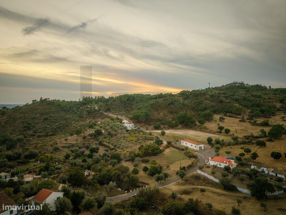 Venda Conjunta de 6 Terrenos Rústicos em Belver, Gavião – 24.360 m2 de