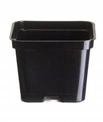 Doniczki produkcyjne p9 kwadratowe 100 sztuk 0, 5l