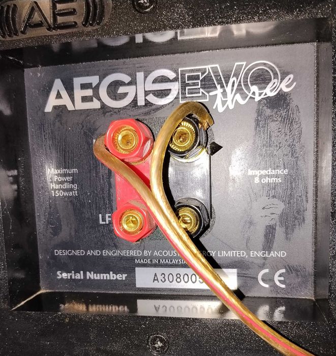 AE Evo 3 Acoustic Energy kolumny podłogowe Acoustic Energy