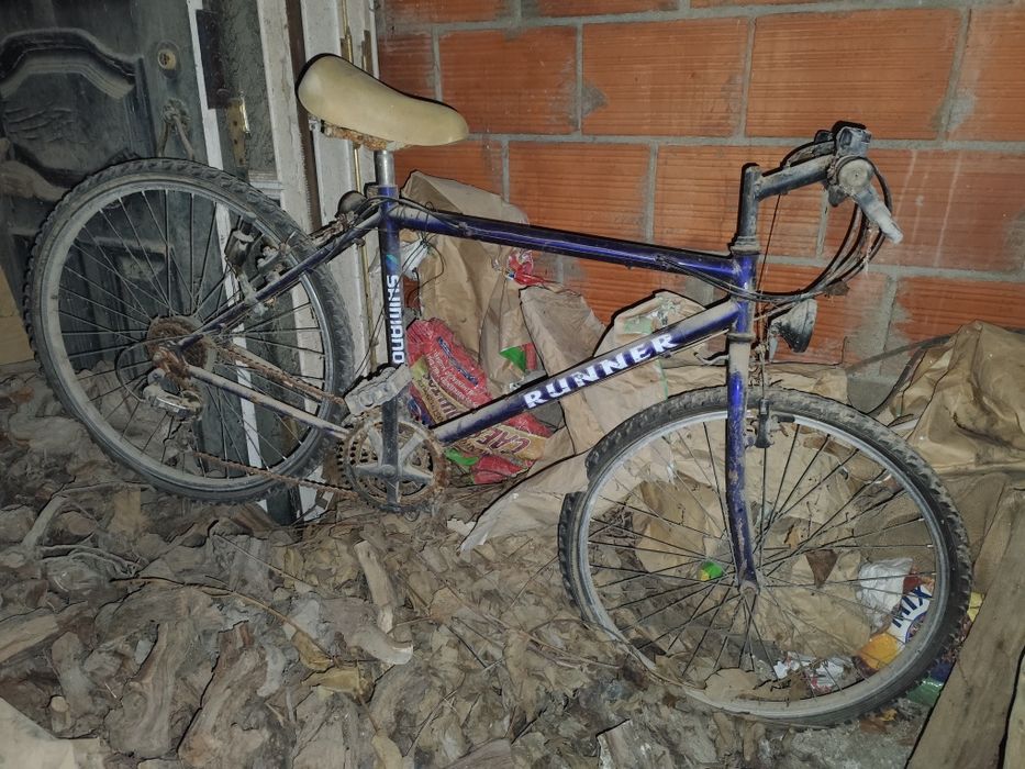 Bicicleta antiga