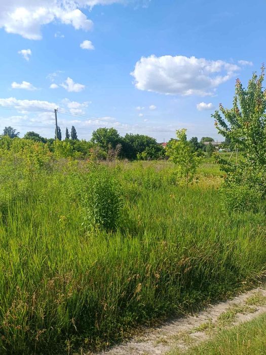 Продаж 16 соток в с. Забір'я. - View 4