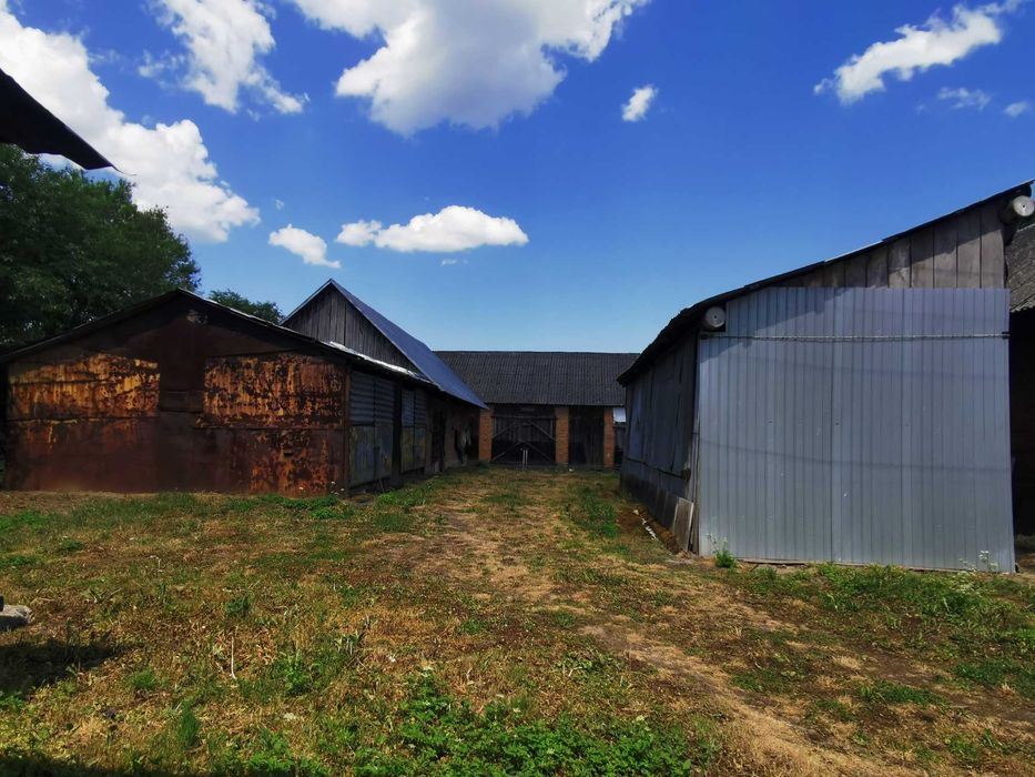 Witam, sprzedam siedlisko