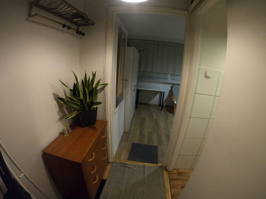 KAWALERKA z widokiem na Sky Tower do wynajęcia od zaraz