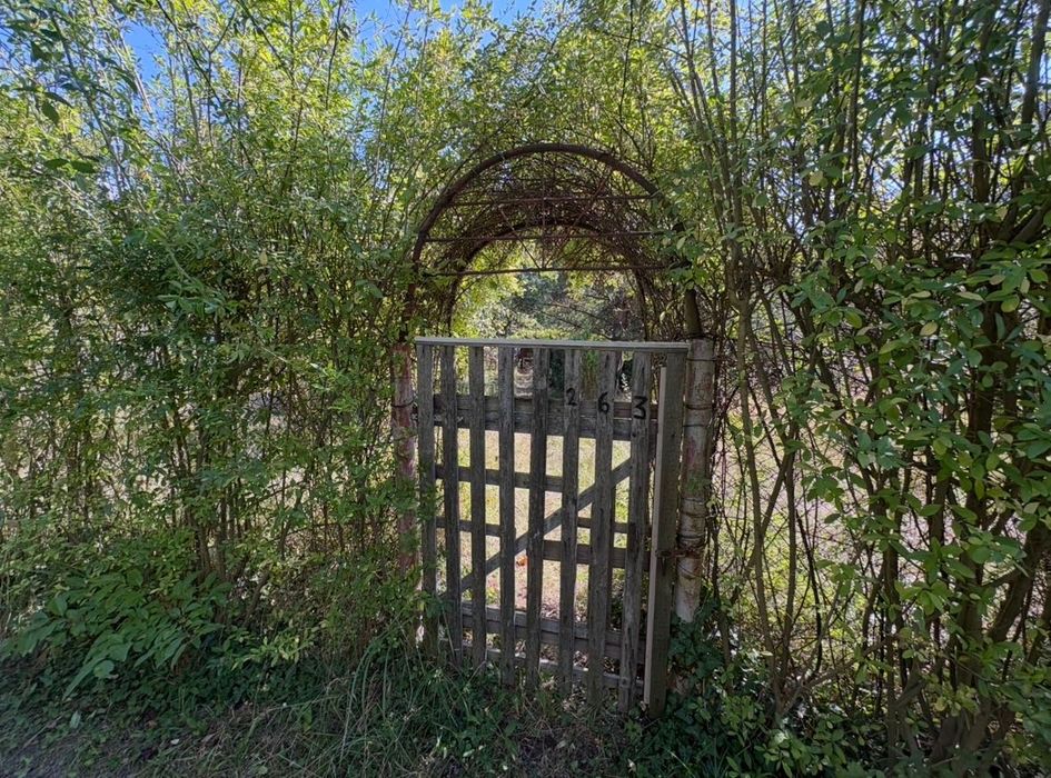 Ogródek działkowy ROD, Sosnowiec Mikołajczyka - Widok 6