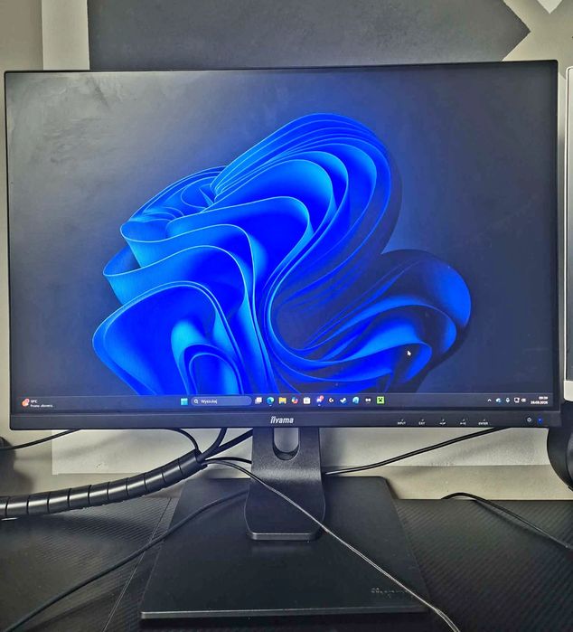Monitor iiyama model PL2495W