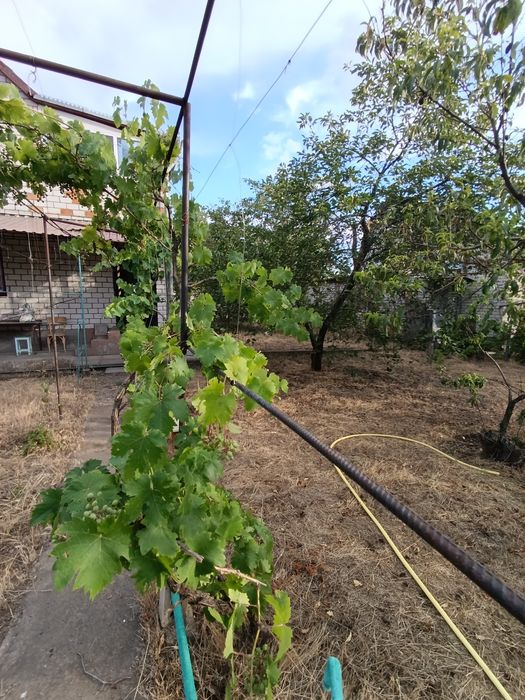 Продаю дачу два поверхи, газове опалення+ пічне+ камін