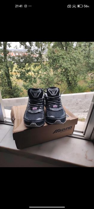Mizuno wave profecy