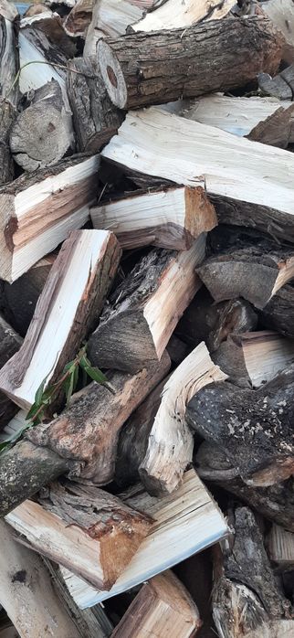 Drewno opałowe suche drzewo do pieca kominka