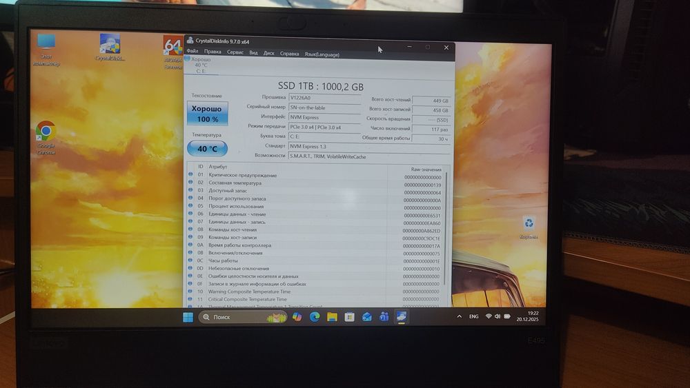 Ноутбук Lenovo ThinkPad E495/Ryzen 5 Pro 3500U/8DDR4/1TB M2/14"/FHD/IP