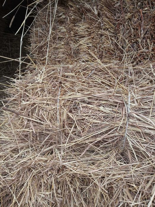 Продам сіно в тюках