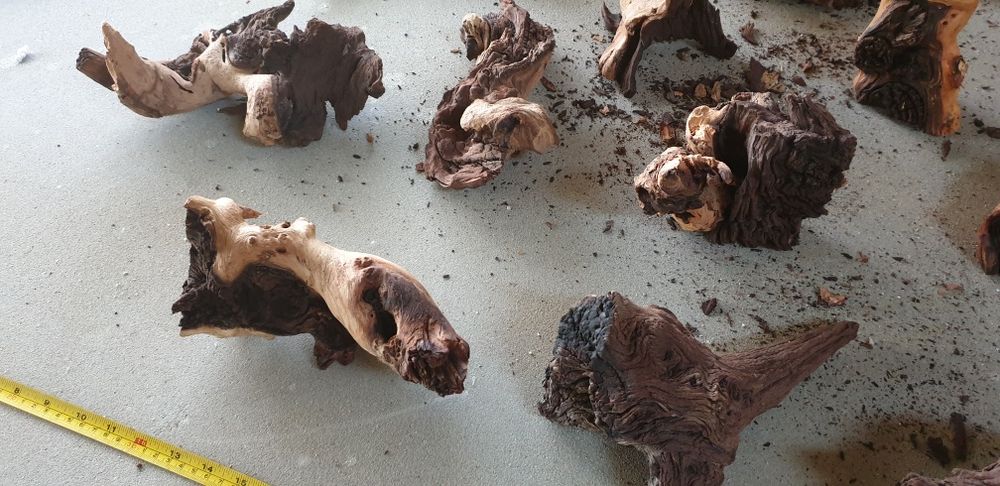 Korzeń akwarystyczny terrarium mangrowiec