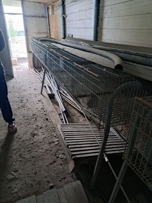 Coelheiras em bom estado