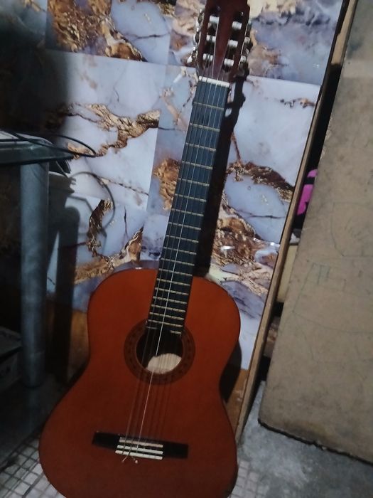 Viola valenciana