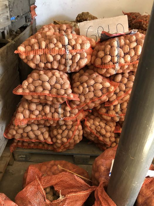 Ziemniaki drobne Riviera