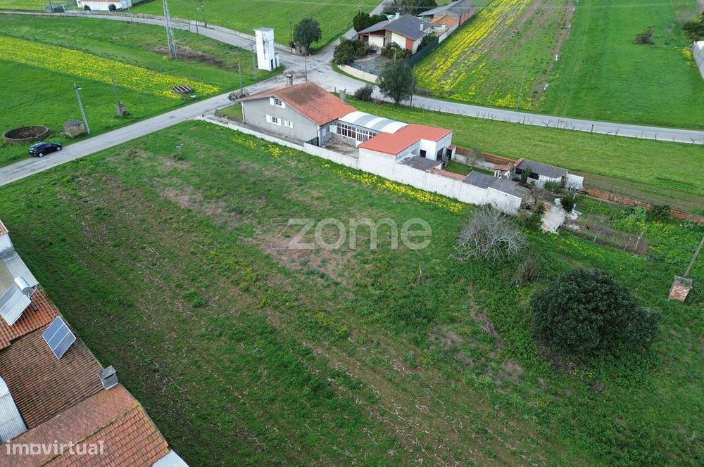 Terreno para moradia isolada ou 2 moradias geminadas_1900m2_Vagos